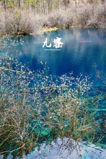 狐狸的旅程