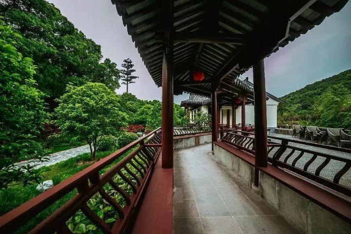 春雨直播app