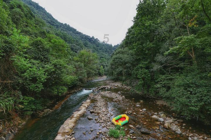 芭比大学毕业