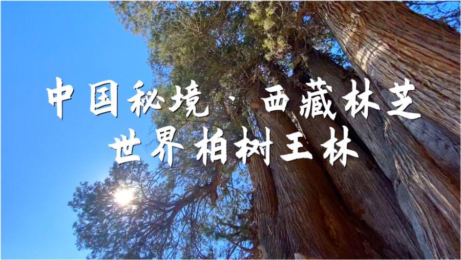 女明星在出席活动时，为什么喜欢穿暴露的服装？
