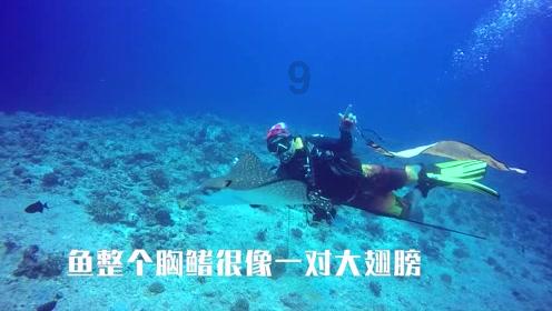 福建福州:动车组列车“体检”迎春运