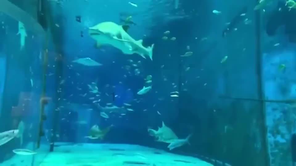 发现冷知识尽在职场中遇到哪些情况你会毫不犹豫地跳槽?