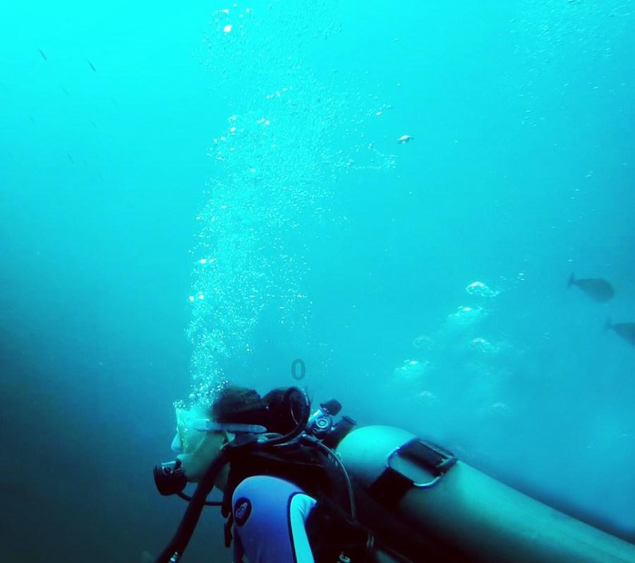 海绵宝宝寻珍宝