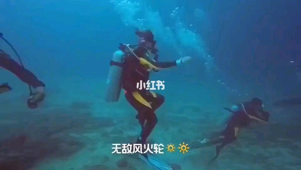 快刺水果