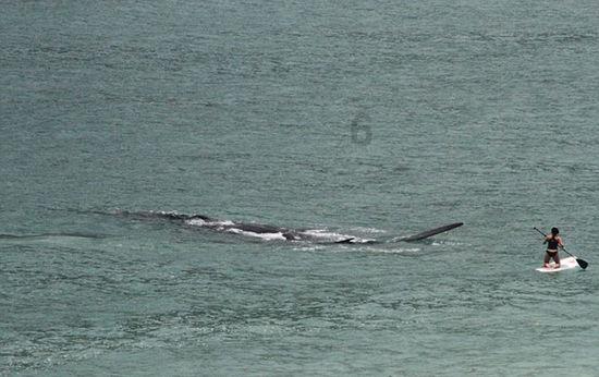 霞浦县福达渔业专业合作社被罚款3.9万元