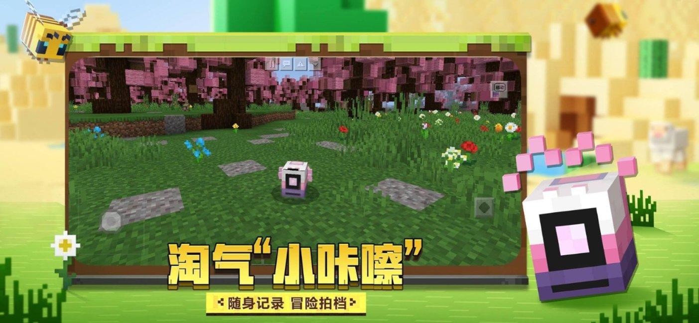 走,去海寨沟
