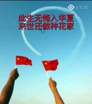 小猫钓鱼游戏龙王版有船