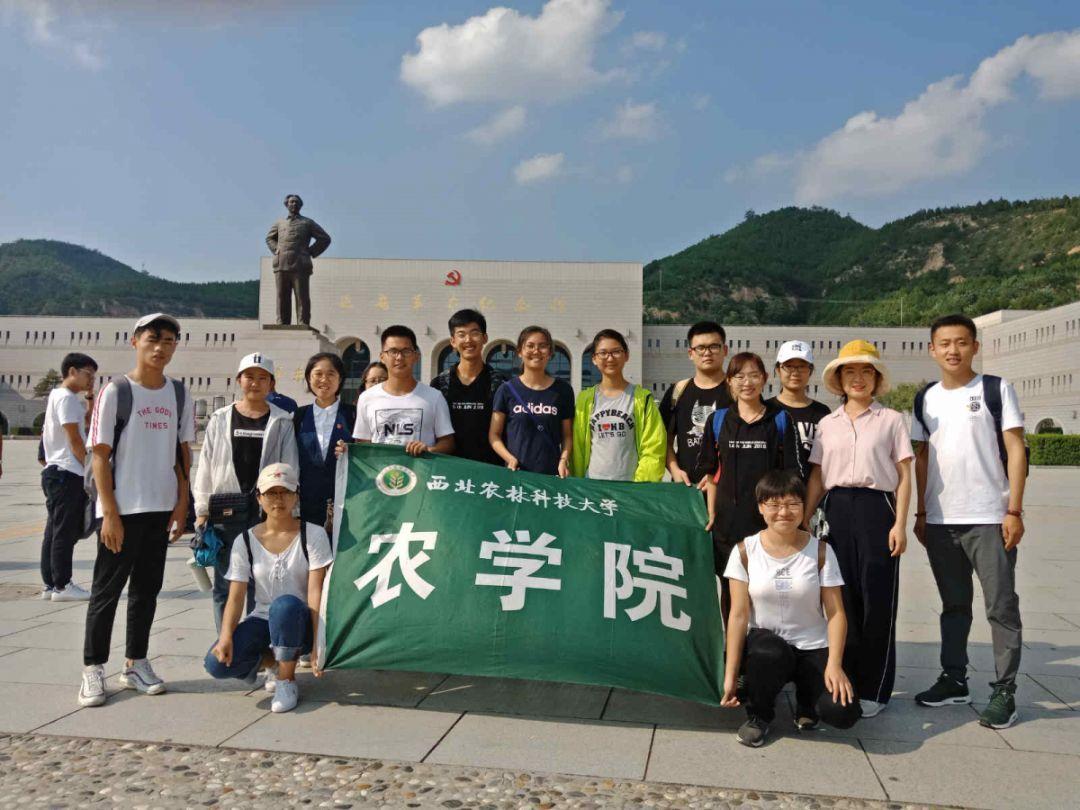食堂占座问题怎么解决游戏画面