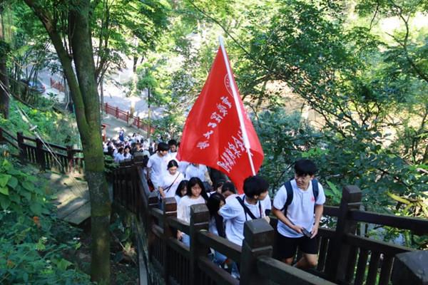 逃离月日森林
