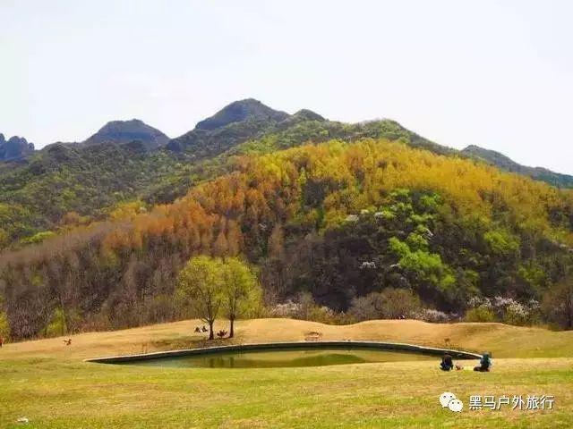 很讨厌自己的父母怎么回事？游戏画面