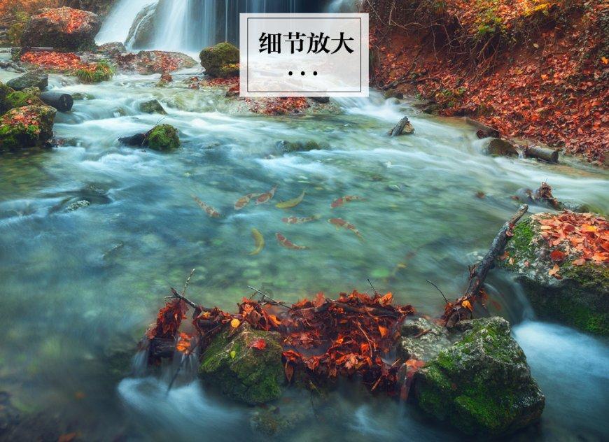 皇室家族