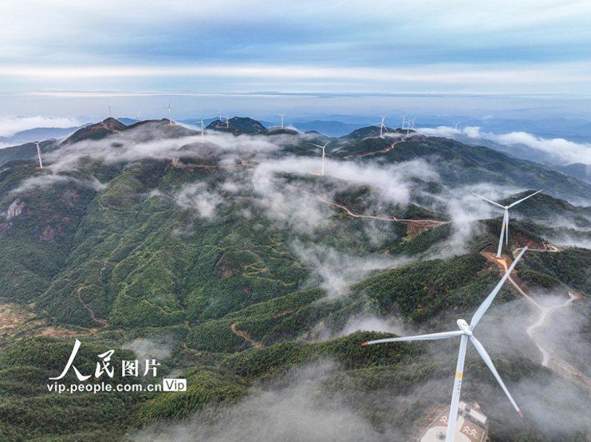 打架的威害性和安全的重要性以及品德美？游戏画面