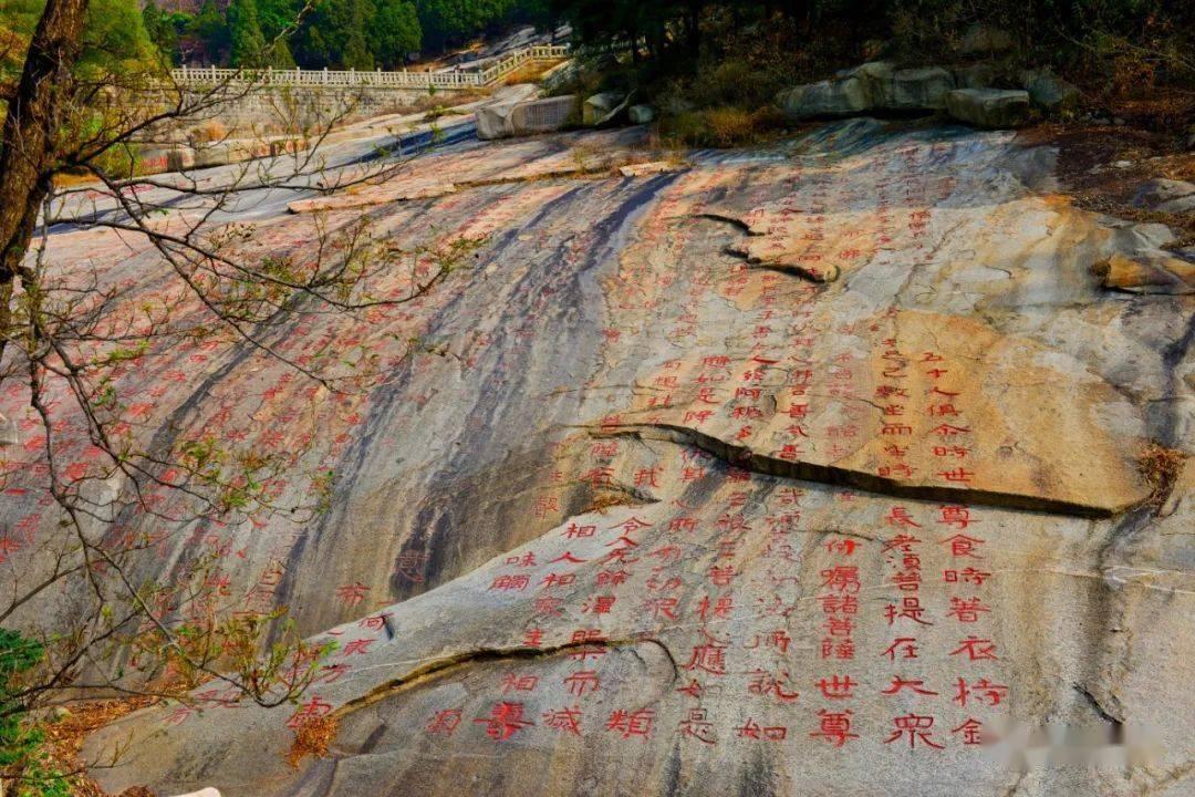 如何看待孩子的赶作业行为？游戏画面