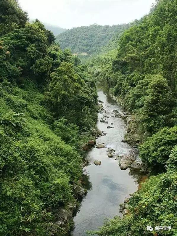 影视工厂