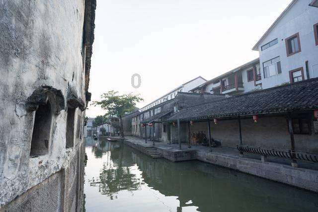 沙皮狗逃离