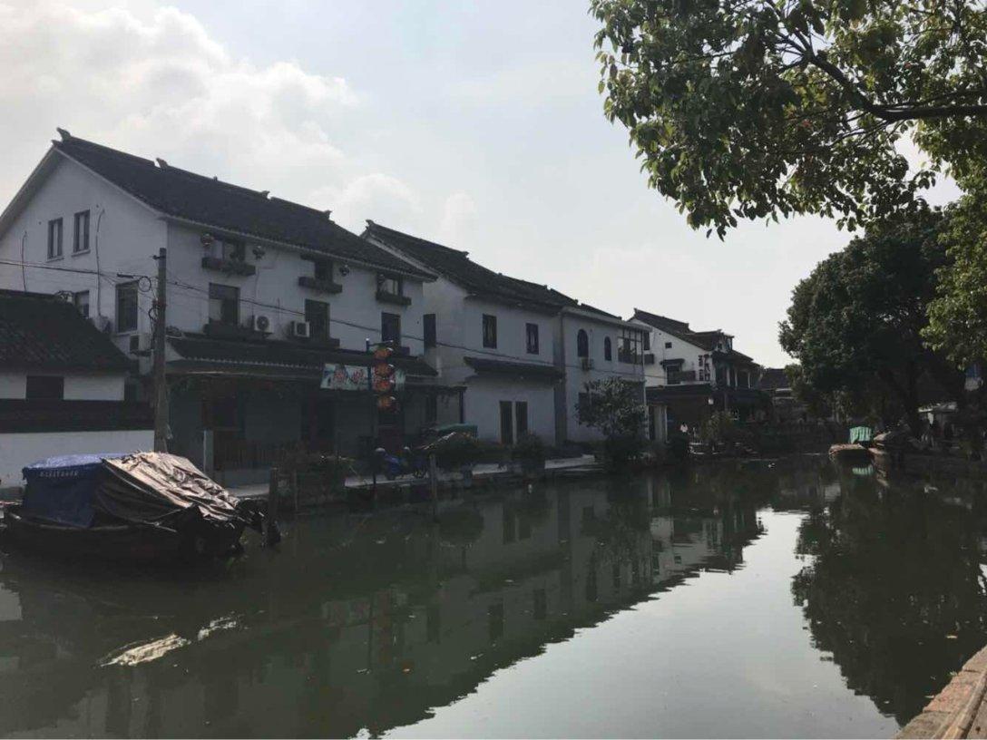 危险森林大逃脱
