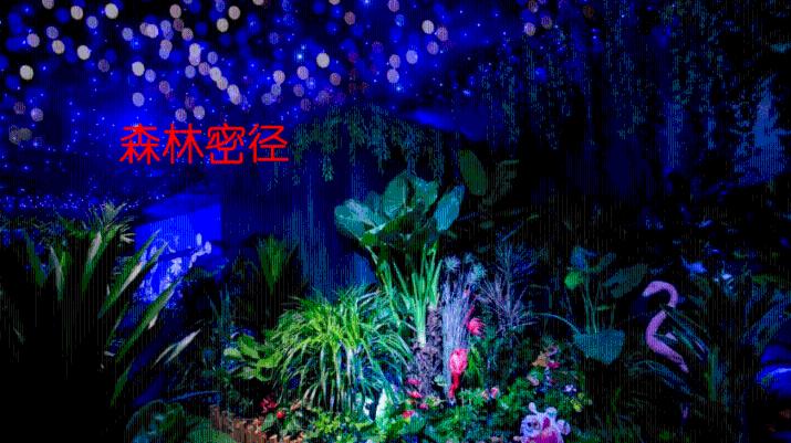 《我的“村晚”我的年》直播活动将亮相大兴